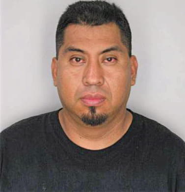 Irineoortega Ruben - Hillsborough County, FL 