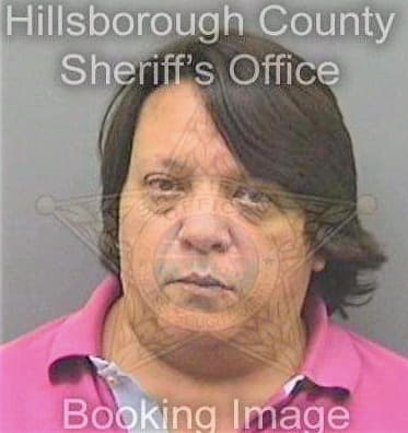 Gibson Calvin - Hillsborough County, FL 