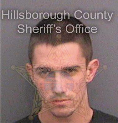 Larson Dylan - Hillsborough County, FL 