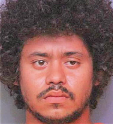 Savino Gaetano - Polk County, FL 