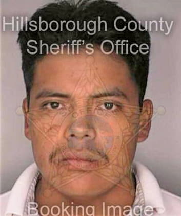 Lopez Noe - Hillsborough County, FL 