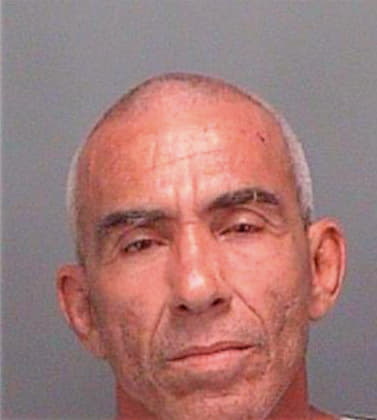 Cuellar Raul - Pinellas County, FL 