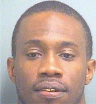 Williams Renaldo - PalmBeach County, FL 