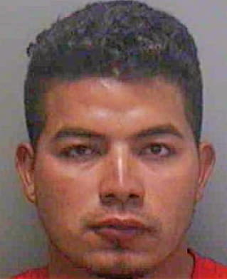 Pineda Rene - Lee County, FL 