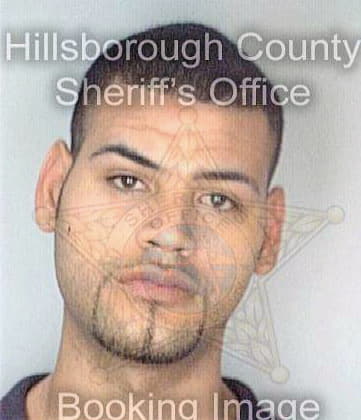 Ortiz Alberto - Hillsborough County, FL 