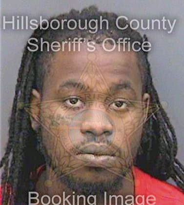 Mcneal Deandre - Hillsborough County, FL 