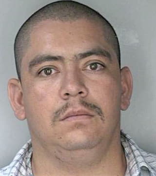 Novoa Fredy - Hillsborough County, FL 
