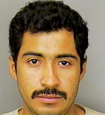 Ramirez Roberto - Polk County, FL 