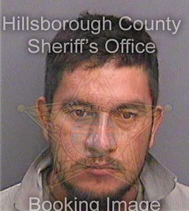 Cesariobasave Pedro - Hillsborough County, FL 