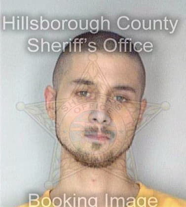 Davis Shane - Hillsborough County, FL 