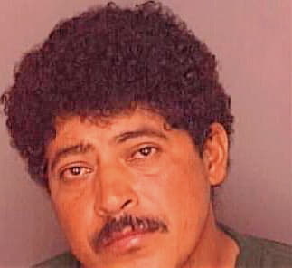 Mejia Arlos - Polk County, FL 