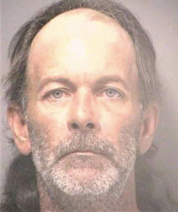 King David - Hillsborough County, FL 