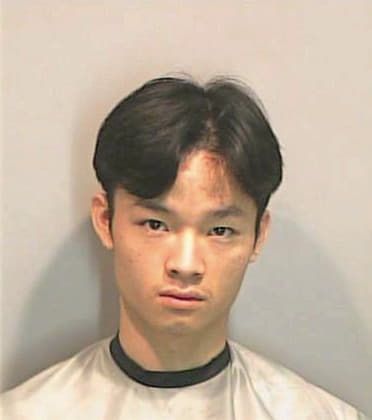 Nguyen Hieu - Dekalb County, GA 