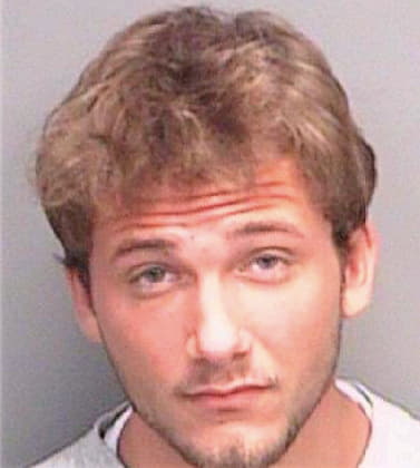Borsellino Nicholas - Pinellas County, FL 