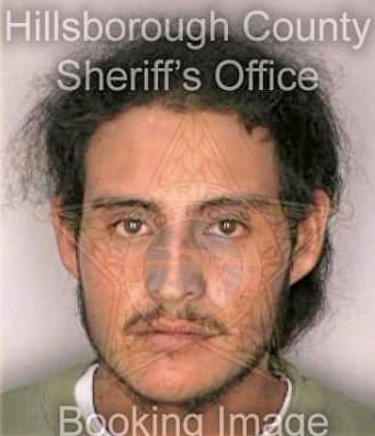 Camachomartinez Santiago - Hillsborough County, FL 
