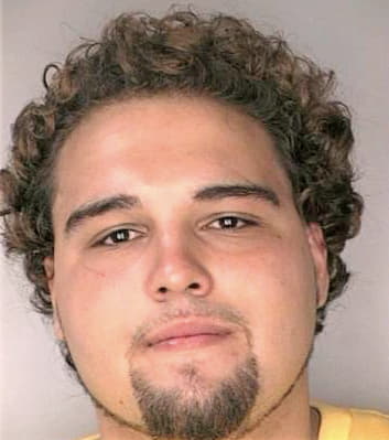 Hernandez David - Hillsborough County, FL 