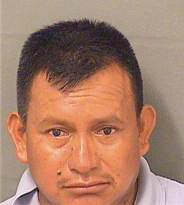Mendezjuarez Edgar - PalmBeach County, FL 