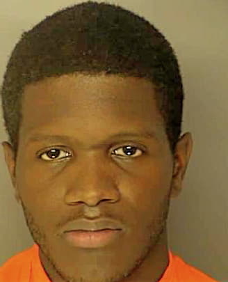 Brown Ervin - Horry County, SC 