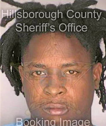 Dinard Nkrumah - Hillsborough County, FL 