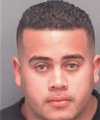 Brenes Raul - Pinellas County, FL 