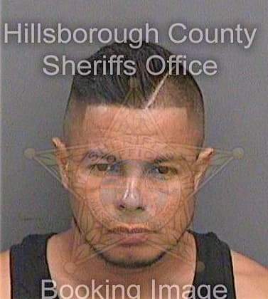 Barahona-Lopez Robis - Hillsborough County, FL 