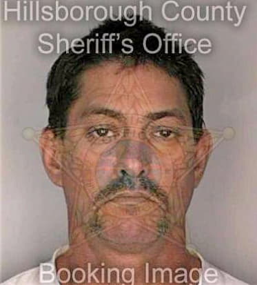 Garate Terry - Hillsborough County, FL 