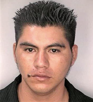 Moreno Catarmo - Hillsborough County, FL 