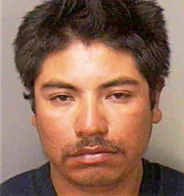 Martinez-Napoleon Demetrio - Polk County, FL 