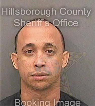 Stewart Tyler - Hillsborough County, FL 