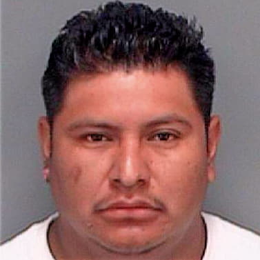 Cristobal Alberto - Pinellas County, FL 