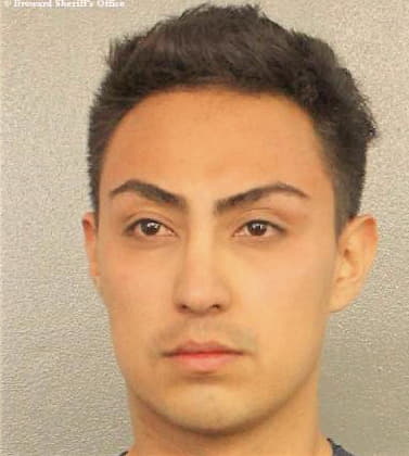 Fernandez Daniel - Broward County, FL 