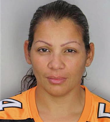 Vargas Daris - Hillsborough County, FL 