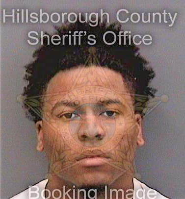 Wiggins Ladarius - Hillsborough County, FL