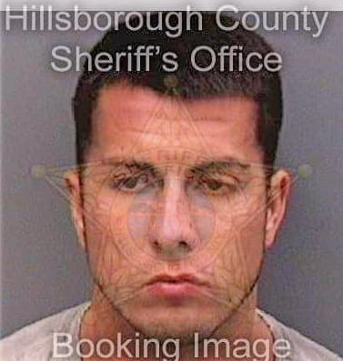 Mejia Paul - Hillsborough County, FL 
