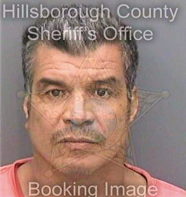 Torres Martin - Hillsborough County, FL 