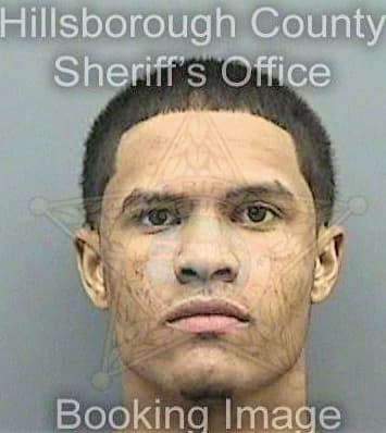 Rodriguez Angel - Hillsborough County, FL 