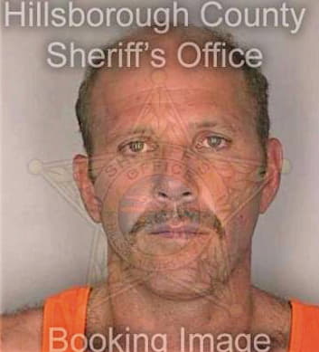 Sansone Anthony - Hillsborough County, FL 