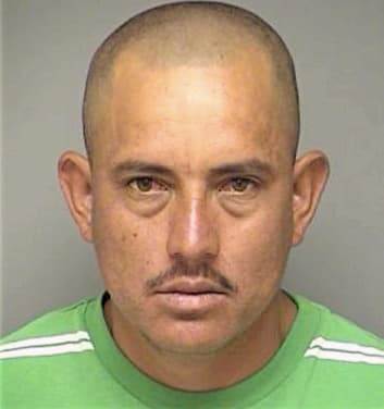 Mendoza Gonzalo - Denton County, TX 