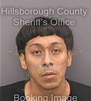 Varona Marcos - Hillsborough County, FL 