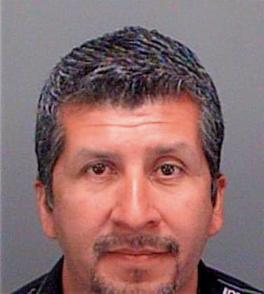 Riosalvarado Aurelio - Pinellas County, FL 