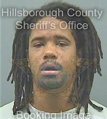 Youngdelcid Estevan - Hillsborough County, FL 