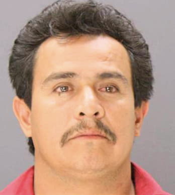 Leiva Gumaro - Dallas County, TX 