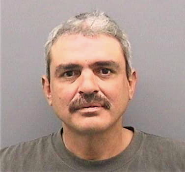 Villagomez Jaime - Hillsborough County, FL 