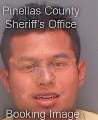 Palaciosdeleon Jose - Pinellas County, FL 