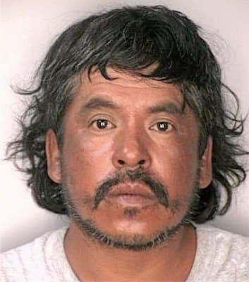 Segura Jose - Hillsborough County, FL 