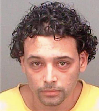Santana Carlos - Pinellas County, FL 
