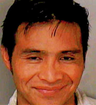 Diaz Fernando - Polk County, FL 