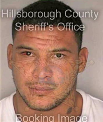 Villegas Jose - Hillsborough County, FL 