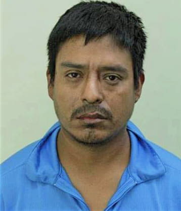 Gomezlopez Salvador - Hillsborough County, FL 