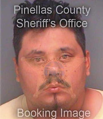 Rojomedina Salvador - Pinellas County, FL 